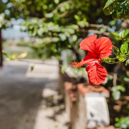 펜션 Casetta Dino *